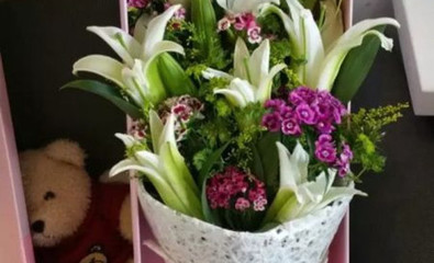 郑州馨语花卉鲜花店用户评论与体验分享