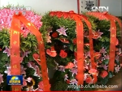 pd256型 平板庆典礼品花篮---飘带机pd256型_印刷机械_印前处理设备_打印机_产品库_中国包装印刷机械网