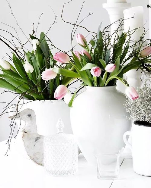 从礼物到日常 花卉在现代生活中的角色变迁